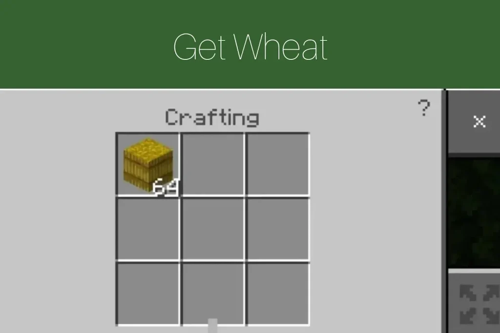 Get Wheat