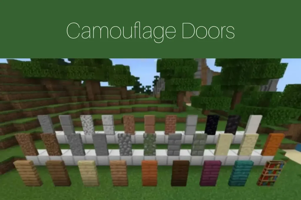 Camouflage Doors