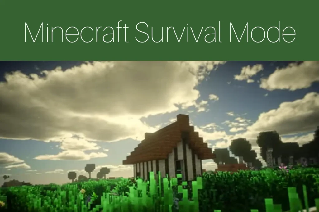 Minecraft Survival Mode